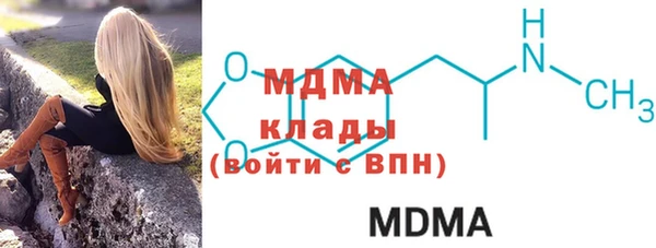 индика Алексин
