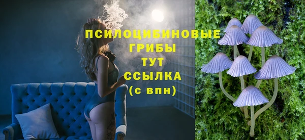 прущие крисы Алзамай