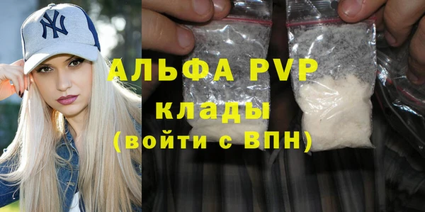 индика Алексин