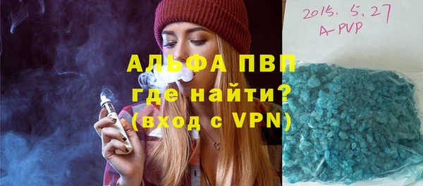 индика Алексин