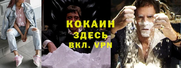 индика Алексин