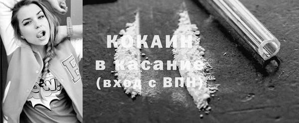 индика Алексин