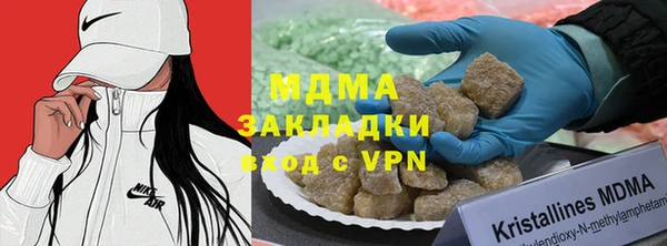 индика Алексин