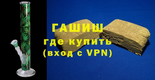 индика Алексин