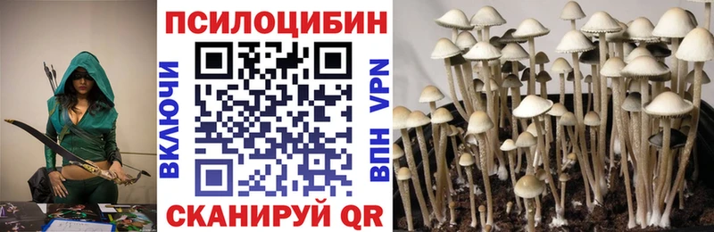 цены Перевоз Галлюциногенные грибы Cubensis